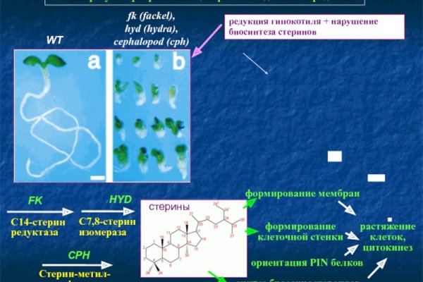 Кракен сайт 1kraken me вход