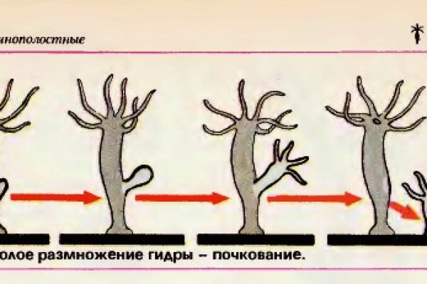 Кракен ссылка тор