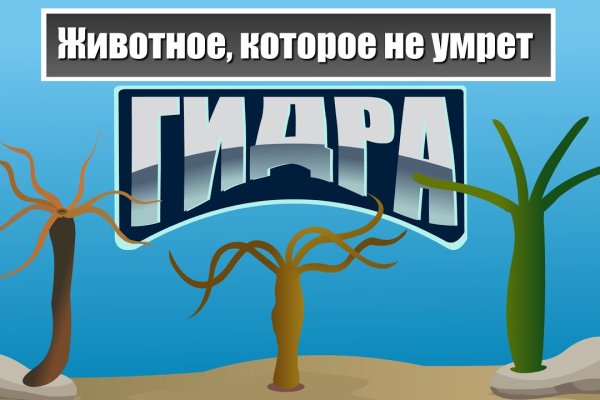 Что за кракен маркет