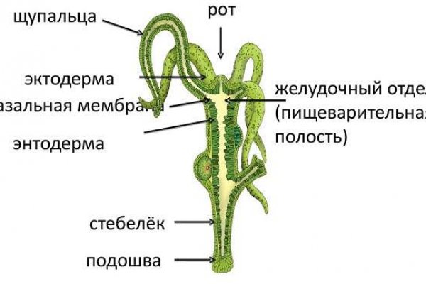 Ссылка на кракен 11