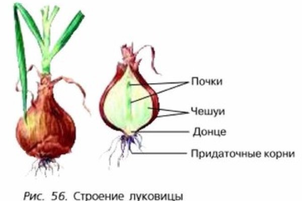 Kraken ссылка tor официальный сайт